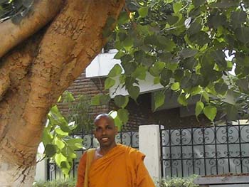 21.08.2007 - at Cairo in Egypt