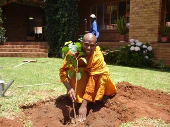 2005.11.08 - The Bodhi sapling planting at African Buddhist seminary in RSA. (1)