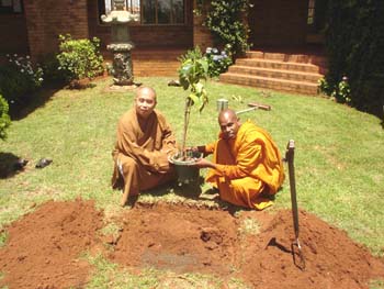 2005.11.08 The Bodhi sapling planting at ABS in RSA