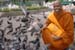 Infront of the Amereld Buddha temple -Thailand 17.5.005.edit