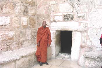 2004 November near historical olive tree in Isreal